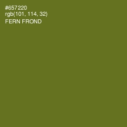 #657220 - Fern Frond Color Image